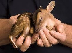 WorldsBestFun WorldsBestFun